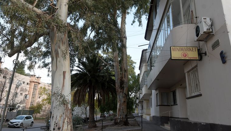 El deterioro contrasta con su historia pionera, monoblocks venidos a menos e inseguridad marcan el presente del barrio Cano. Foto: Marcos Garcia/MDZ