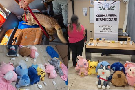 Dentro de los peluches había un total de 2 kilos y 850 gramos de cocaína con destino a Mendoza. Dentro de los peluches había un total de 2 kilos y 850 gramos de cocaína con destino a Mendoza.