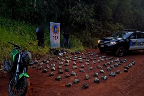El opertativo, aplicado en Misiones, terminó con el secuestro de 71 kilos de droga y una moto robada en Buenos Aires.