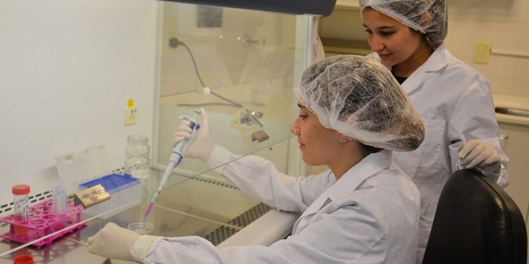 El Hospital Garrahan se sumó al desarrollo de la terapia para la regeneración ósea.&nbsp;
