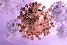 La variante ómicron ya se ha detectado en decenas de países, pero puede haber evolucionado dentro de una sola persona. Foto: GETTY IMAGES