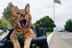 Foto: IG @1bike1worlda