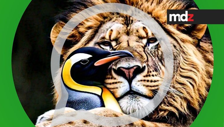 El abrazo del león y el pingüino, reflejo de los acuerdos en el Congreso.