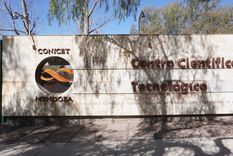 A través del CONICET, Mendoza busca nuevas soluciones urbanas para mitigar los efectos del cambio climático. Foto: Rodrigo DAngelo / MDZ