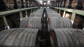 Se extiende a todo el mes de agosto la Campaña “Bodegas Abiertas” el programa para que los mendocinos puedan visitar y experimentar en las bodegas. Se extiende a todo el mes de agosto la Campaña “Bodegas Abiertas” el programa para que los mendocinos puedan visitar y experimentar en las bodegas.