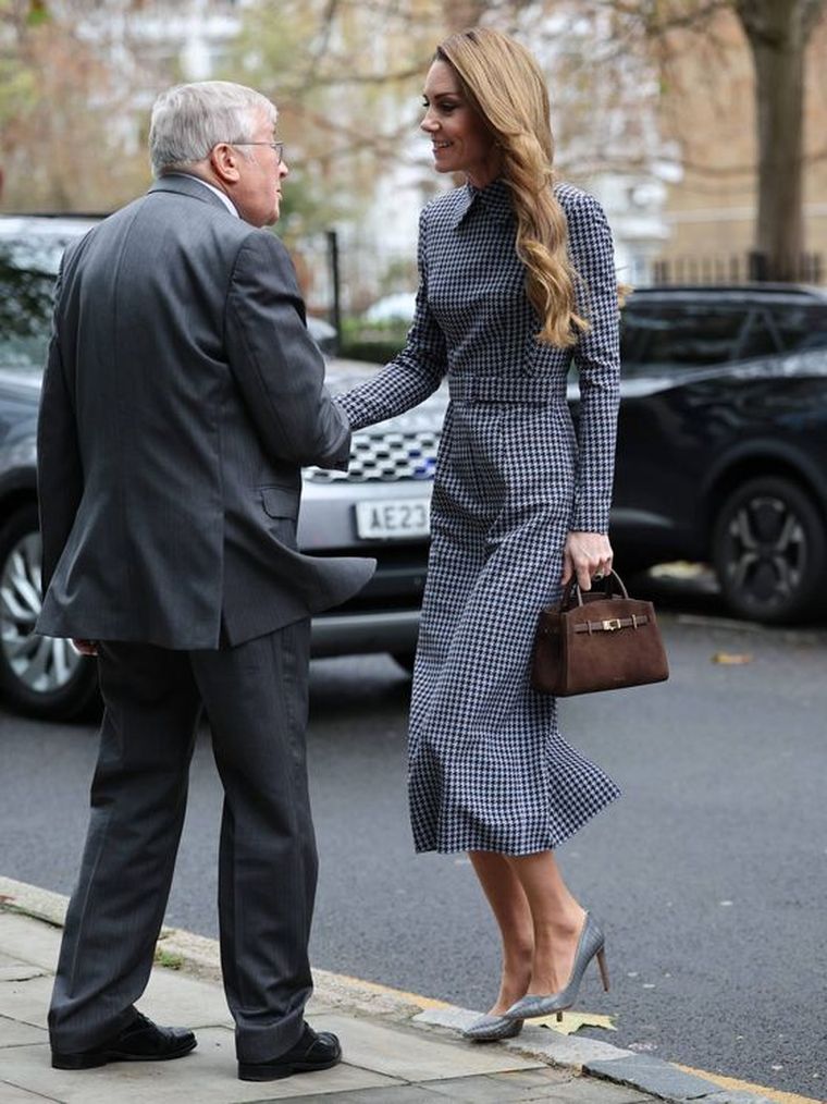 Un vestido de Emilia Wickstead, salones pitón y joyas históricas armaron un estilismo impecable. Un vestido de Emilia Wickstead, salones pitón y joyas históricas armaron un estilismo impecable.