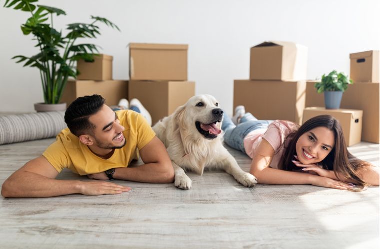 Mascotas Consejos para tener en cuenta en medio de una mudanza Foto: Shutterstock