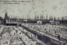 Quinta Agronomica Quinta Agronomica