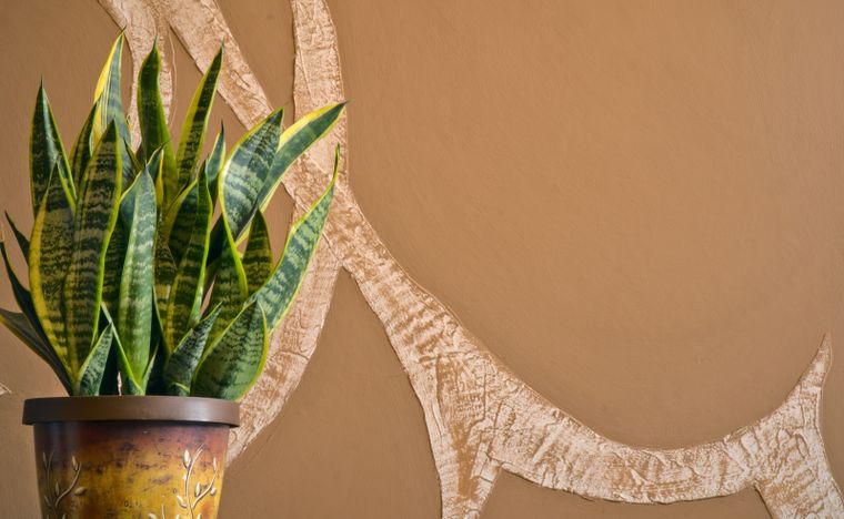 La planta más resistente. Fuente: Shutterstock.