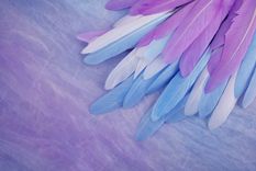 Siempre traen consejos de amor. Foto: Fuente: Shutterstock