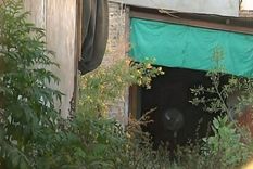 Los vecinos denuncian que a diario tienen que llamar a la Policía por los intrusos que ingresan a la casa abandonada buscando dólares enterrados. Foto: Captura de video