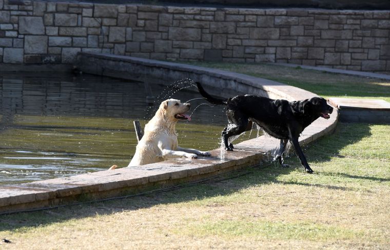 Foto: ALF PONCE MERCADO / MDZ