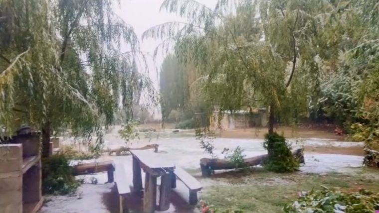 Nevadas en Malargüe Foto: Captura de video