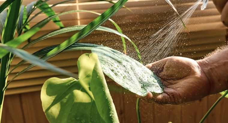 Aplica 1 vez por semana y verás los resultados Foto: Shutterstock