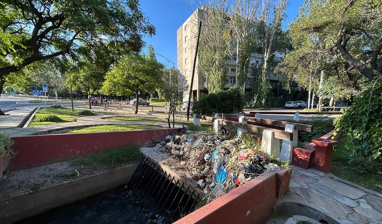 El agua sigue corriendo, pero la basura quedó retenida en la reja del zanjón y convirtió el espacio verde en un contenedor improvisado.