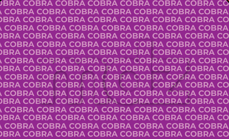 Este acertijo visual ayuda a mantener la visión y la atención lo más ejercitado posible.