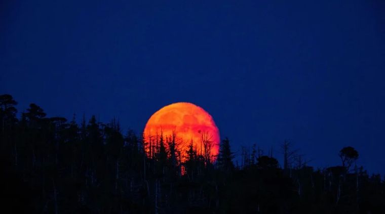 La última luna de sangre fue en 2022. Foto: Noticias Argentinas La última luna de sangre fue en 2022. Foto: Noticias Argentinas