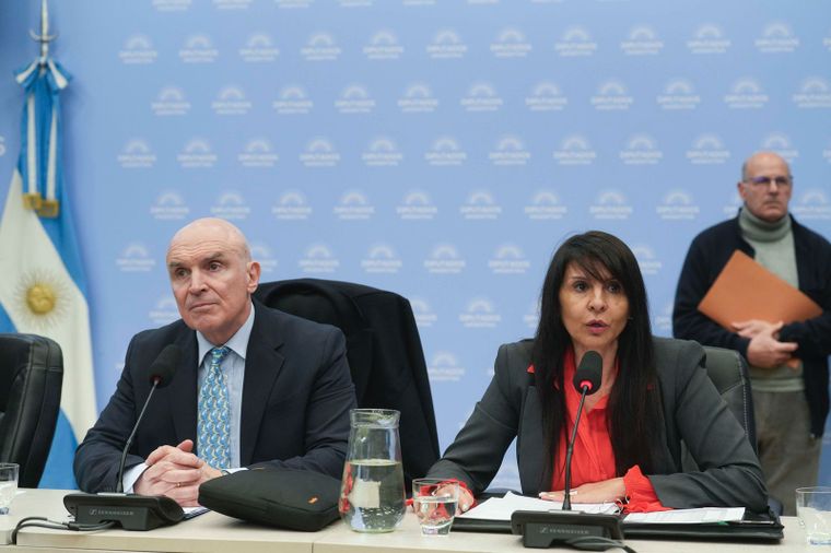 Las comisiones de Presupuesto y Hacienda y Energía encabezaron el plenario.