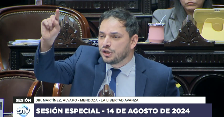 El diputado nacional Álvaro Martínez Foto: Captura de pantalla