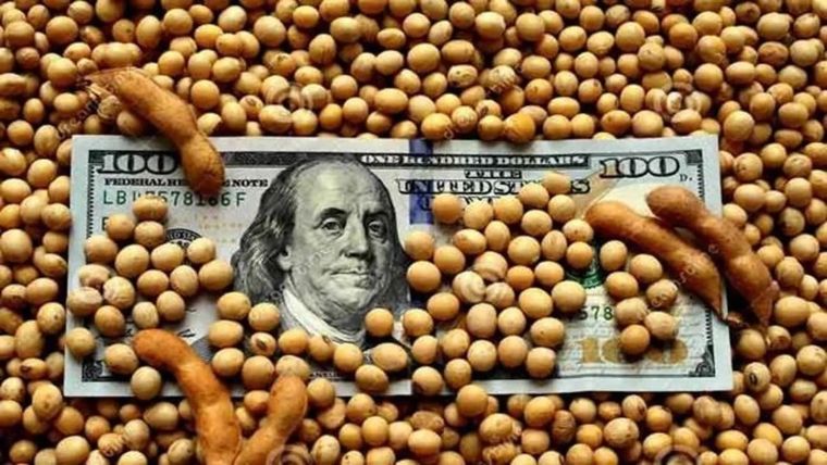 El complejo sojero es el principal generador de divisas en el país, con más del 40% de las exportaciones agroindustriales.