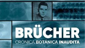 Mariana Guzzante y Camila Menéndez son las directoras y guionistas del documental Brücher. Crónica botánica inaudita, recién estrenado. La historia del nazi en Mendoza es rocambolesca. &nbsp; &nbsp;