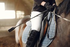 Eventos como el el Festival de Doma y Folklore de Jesús María se encuentra en “estado de alerta” a partir del brote que afecta a los caballos Foto: Freepik