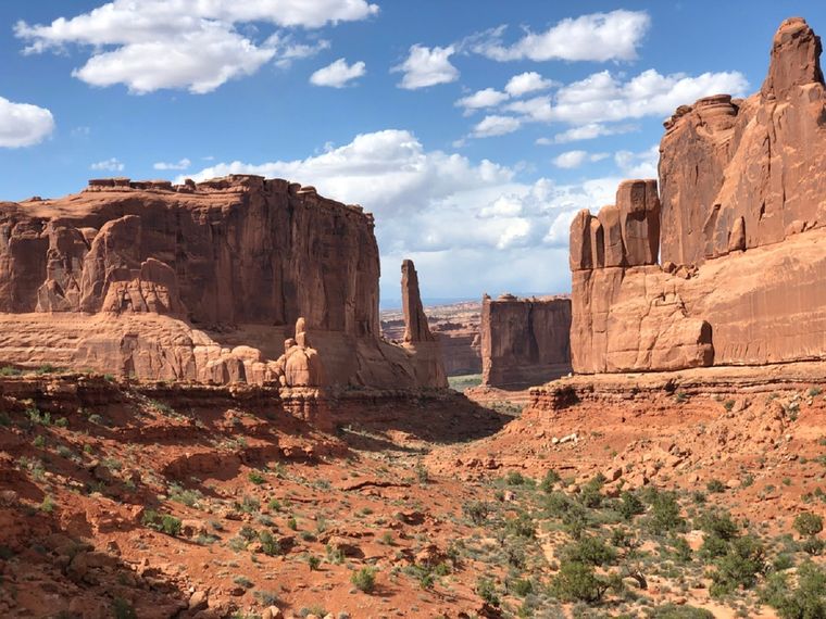 Este maravilloso paisaje se encuentra en la Región de Cuyo Foto: Shutterstock