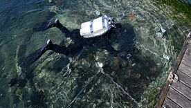 El descubrimiento apareció bajo sedimentos del puerto de Steckborn, una zona vinculada desde hace décadas a antiguos asentamientos sobre pilotes. El descubrimiento apareció bajo sedimentos del puerto de Steckborn, una zona vinculada desde hace décadas a antiguos asentamientos sobre pilotes.