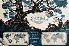 conoce el arbol genealogico de los idiomas