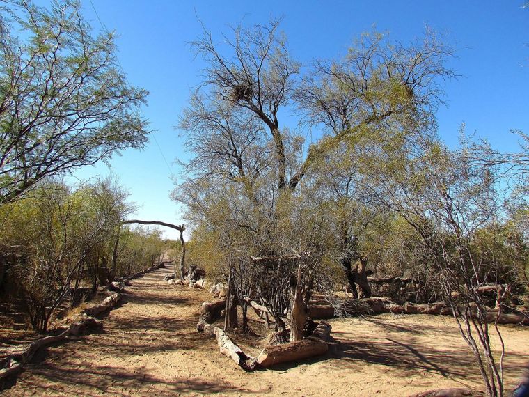 Esta reserva se ubica en el departamento de Lavalle