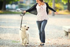 confirmado: caminar en la naturaleza previene y cura la depresion