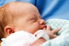 la tasa de natalidad en la argentina es la mas baja de la historia