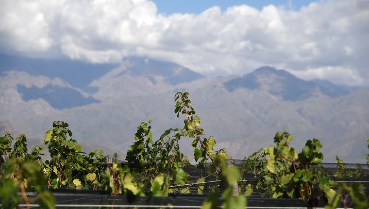 Jueves con descenso de temperatura y tormentas según el pronóstico para Mendoza.