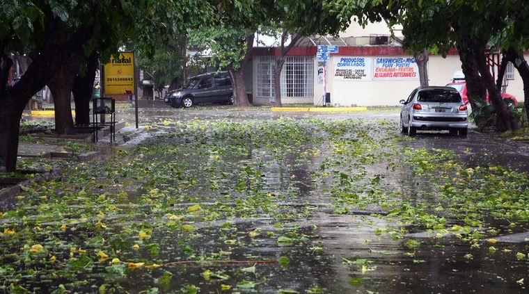 Foto: ALF PONCE MERCADO / MDZ