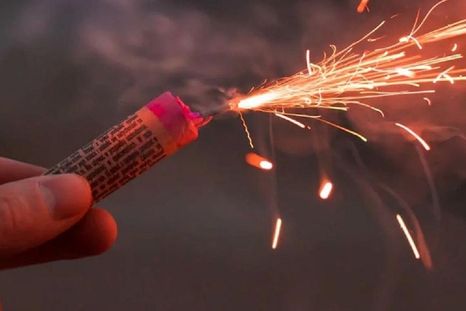 La norma establece multas, decomisos y clausuras para quienes incumplan la prohibición.