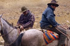 Los Araya, trashumantes. Foto: Ulises Naranjo