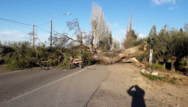 Se esperan fuertes ráfagas para este sábado. Foto: gentileza