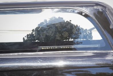 MDZol | Marcelo Araujo - Portada