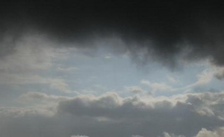 Foto: Infocampo.com.ar