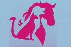 Test de personalidad