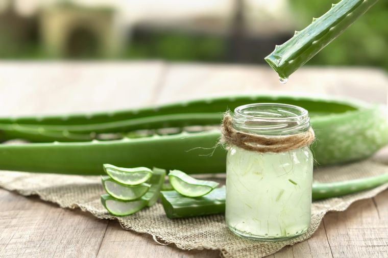 Te ayudamos a preparar un gel de aloe vera que ayudará a tu piel Foto: Lab Vanitas