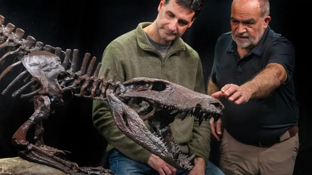 Hallan en la Patagonia un cocodrilo carnívoro extinto que vivió hace 70 millones de años