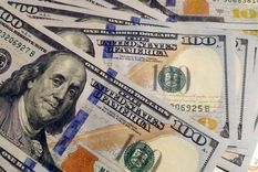 El dólar oficial podría dar un salto en su precio si se cumplen algunos pronósticos. Foto: ALF PONCE MERCADO / MDZ