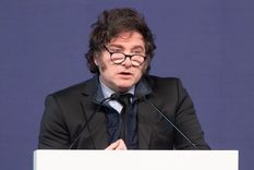 Foto: Santiago Tagua/MDZ Foto: Santiago Tagua/MDZ