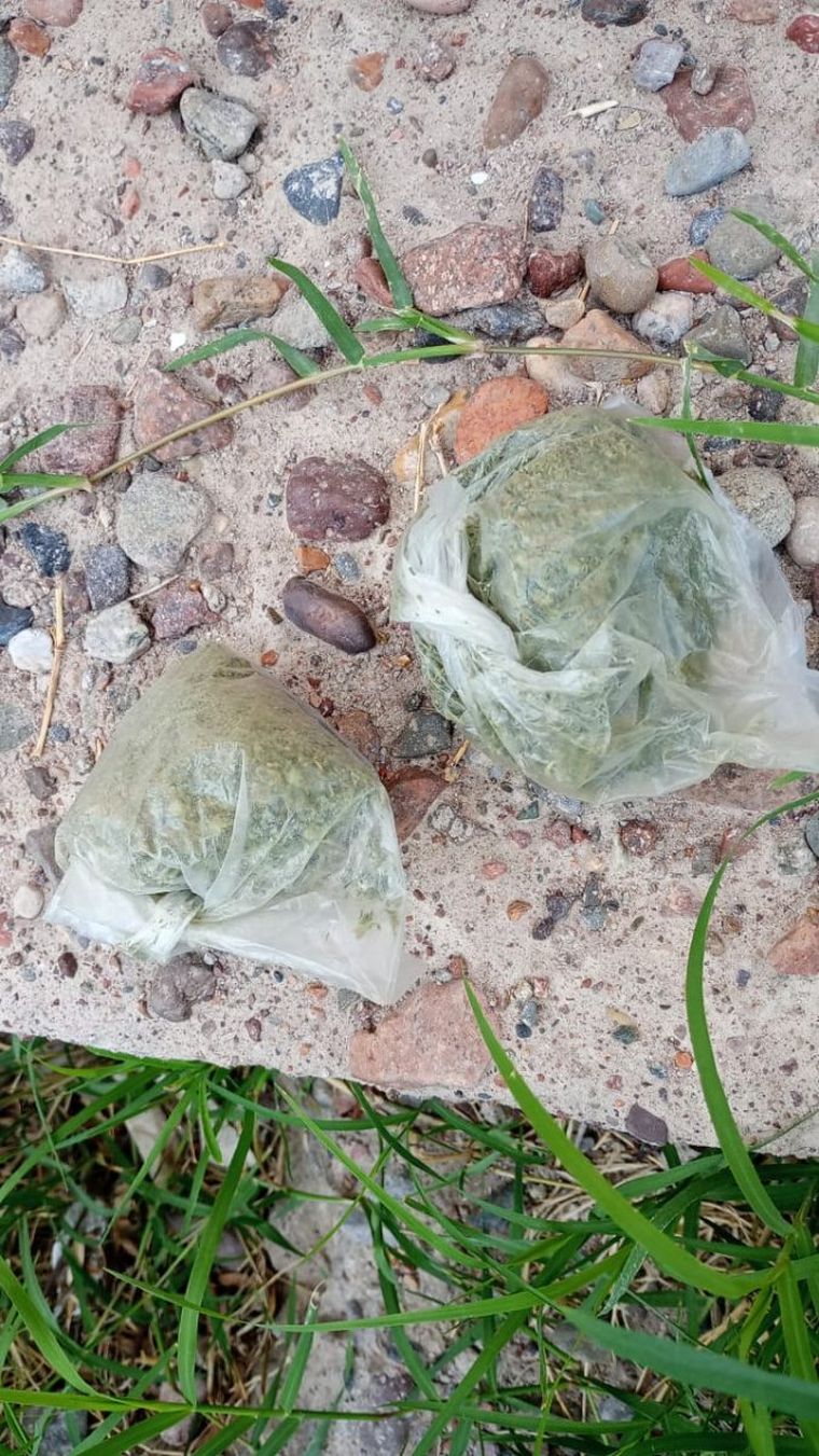 Dos bolsas con marihuana incautadas en los procedimientos. Dos bolsas con marihuana incautadas en los procedimientos.
