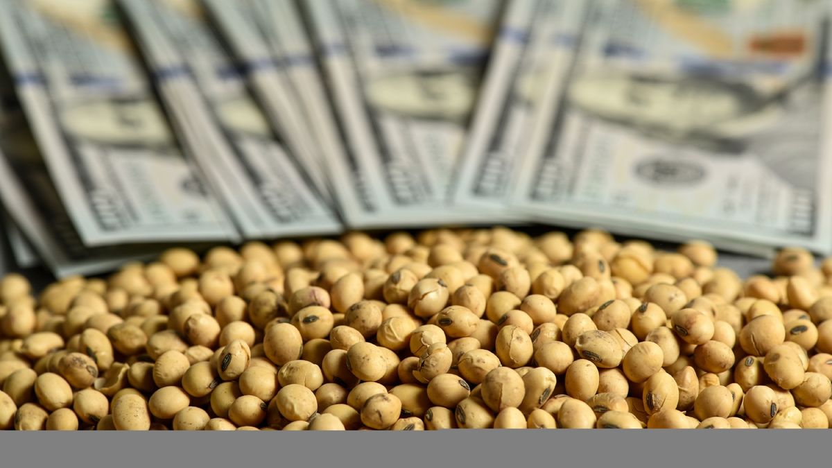 Fuerte baja de la liquidación de divisas de exportaciones del agro en agosto