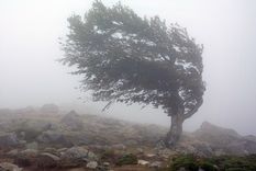 Las ráfagas de viento en las provincias del sur podrían superar los 110 kilómetros por hora Foto: shutterstock.com Las ráfagas de viento en las provincias del sur podrían superar los 110 kilómetros por hora Foto: shutterstock.com