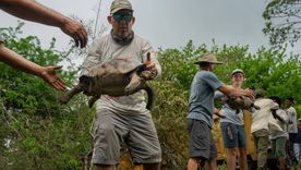 Fotos: Natgeo. Fotos: Natgeo.