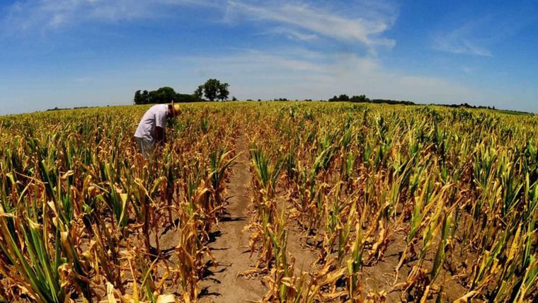 Fuerte rechazo de productores a las medidas económicas del Gobierno libertario. Foto: Archivo MDZ