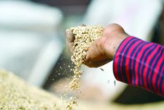 La inflación, el principal factor que dinamita las economías regionales. Foto: Efe.